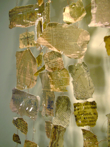 Pharmakon (detail, She-skin)