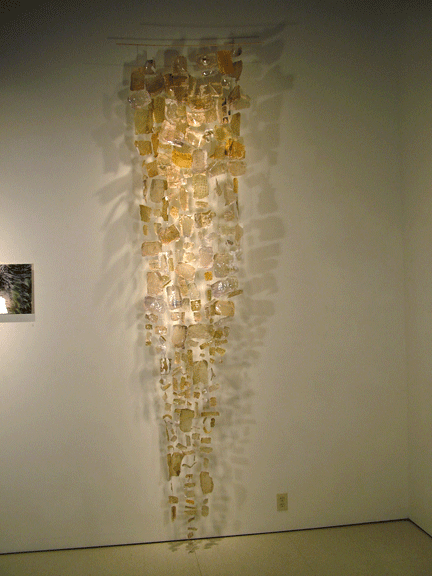 Pharmakon (installation view, She-skin), Dorris H. Hamilton Gallery, Salve Regina University, RI