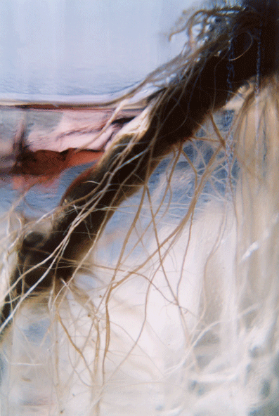 Pharmakon (detail, Garden)