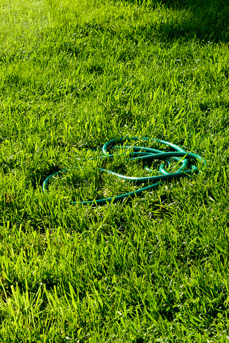 Garden Hose