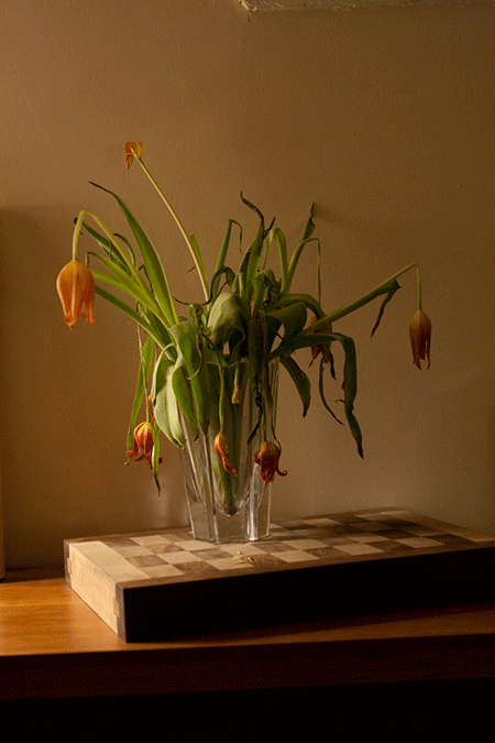 Wilted