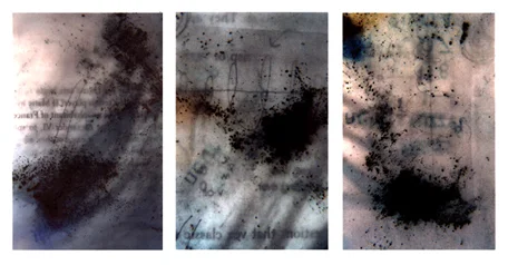 Cerebral Cumulous I, II, III