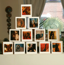 Animal Blocks