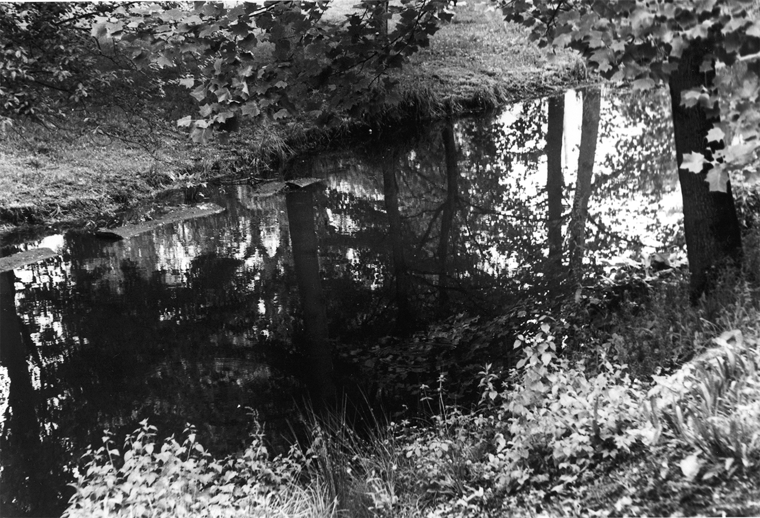 Silent Shore