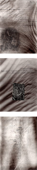 Synaptic Mirror (eguagnal)