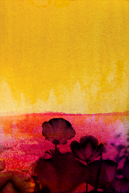 Big Girls and Painted Ladies (Poppies)