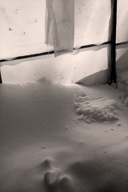 Dormant