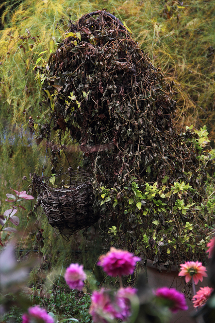TangledWonderlandII.png
