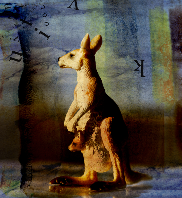 Kangaroo