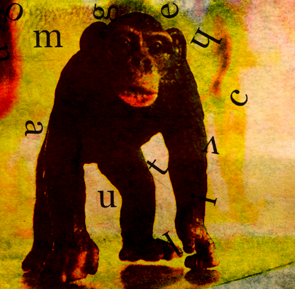 Monkey