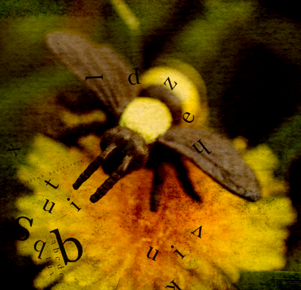 Queen Bee