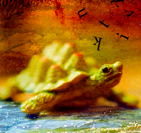 Turtle