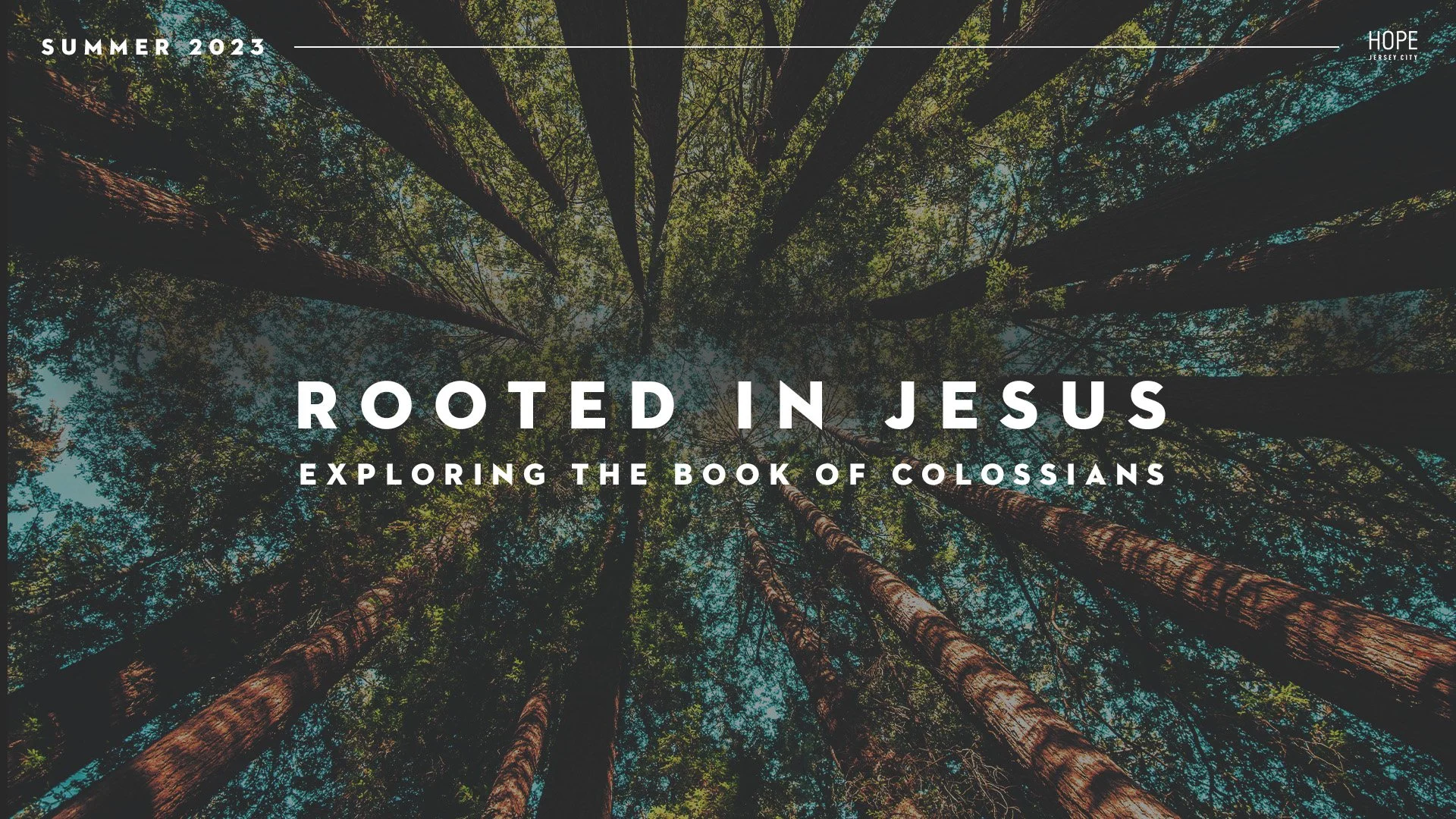 Rooted In Jesus: Exploring the Book of Colossians