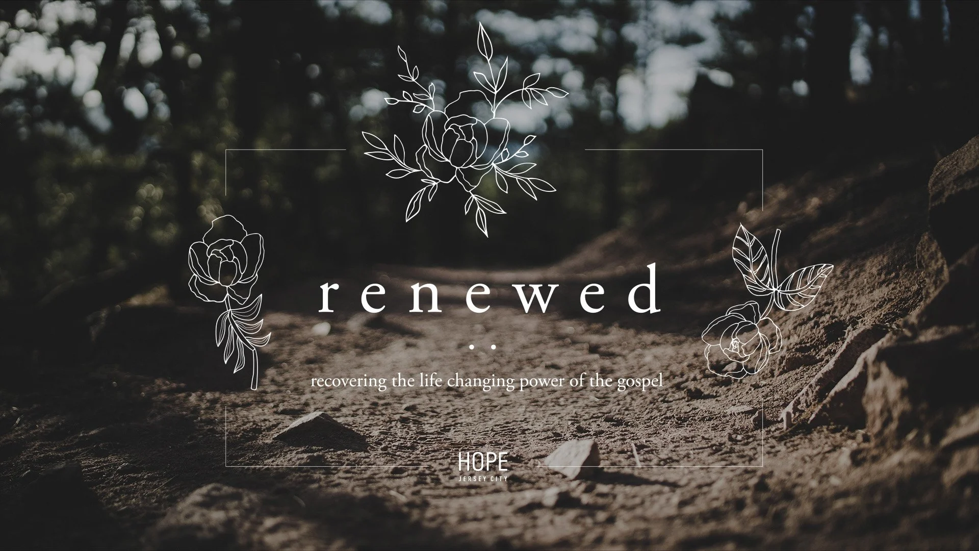 Renewed: Recovering the Life Changing Power of the Gospel