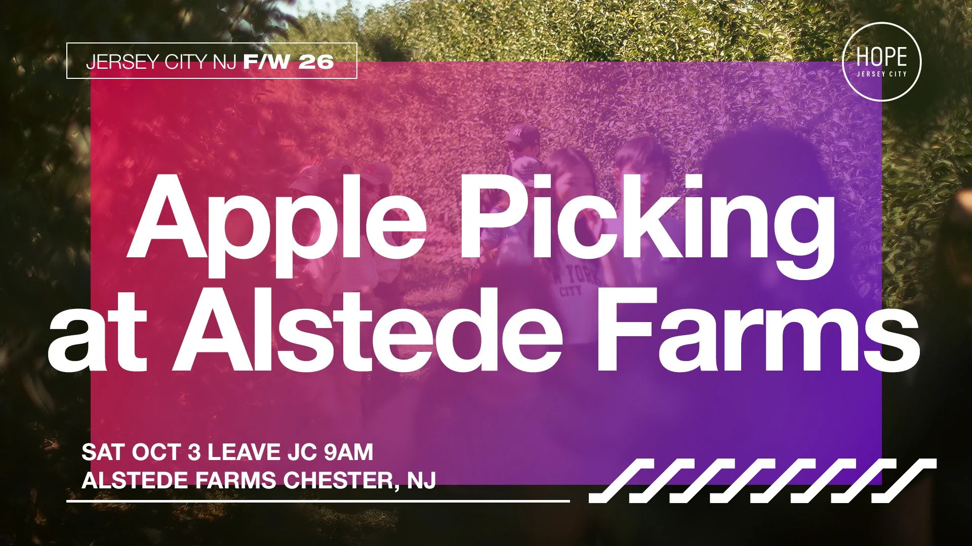 APPLE PICKING AT ALSTEDE FARMS