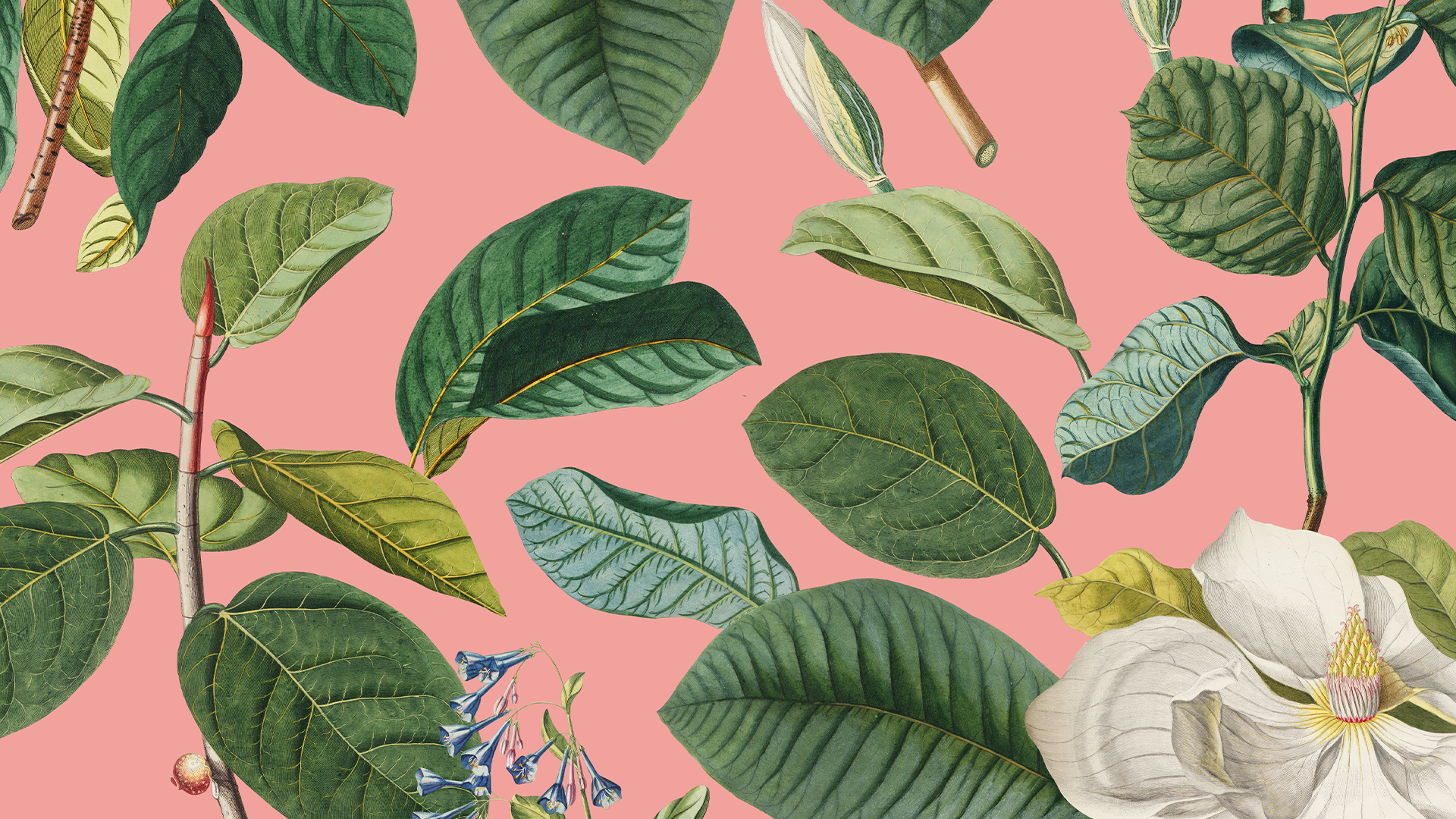 [SLIDE] HopeJC Easter 2026 BG 1920x1080.png