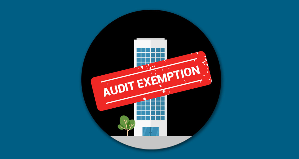Qualifying Criteria For Audit Exemption Part 3 of 3