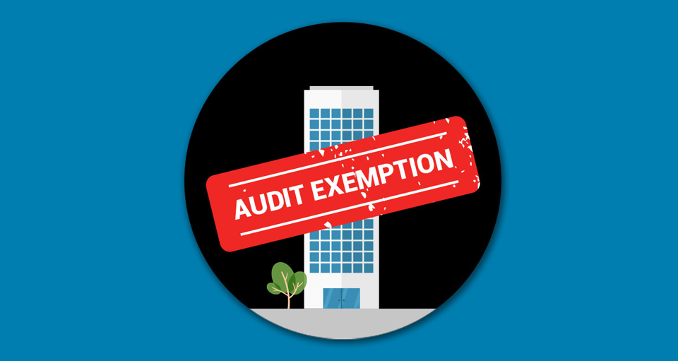 Qualifying Criteria For Audit Exemption Part 2 of 3