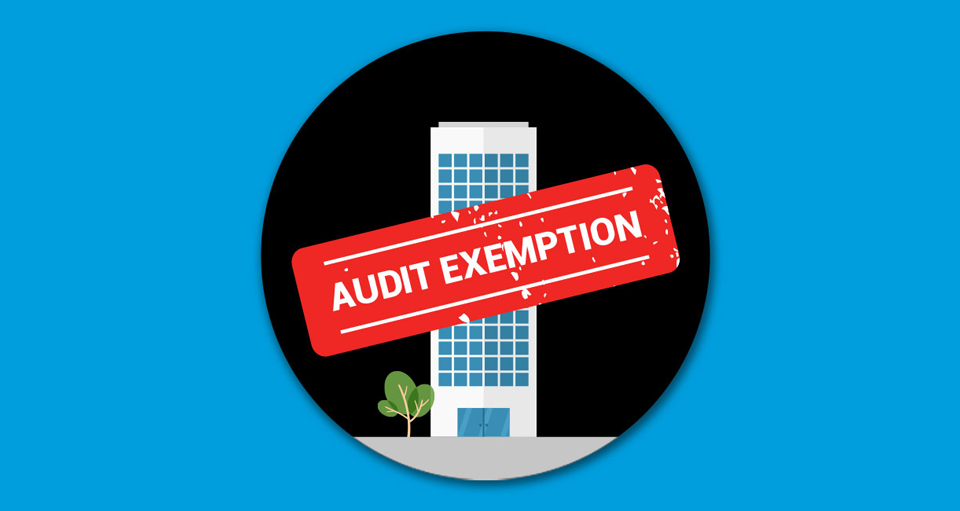 Qualifying Criteria For Audit Exemption Part 1 of 3