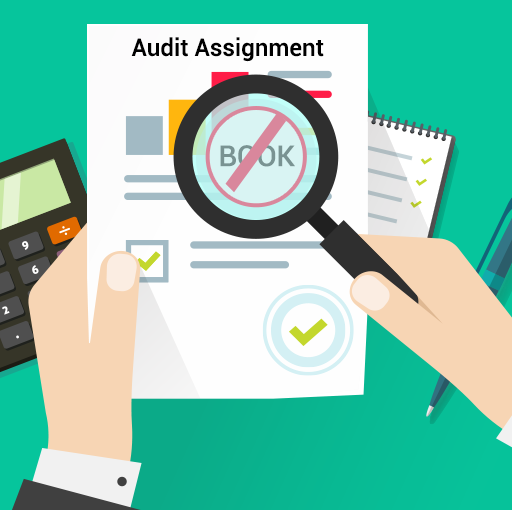 Do not book in source document for Audit Assignment