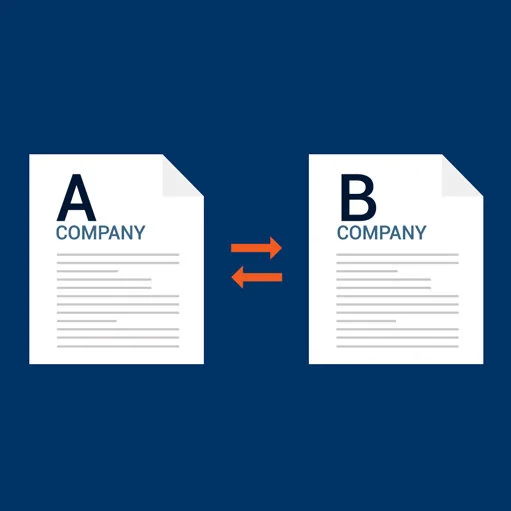 Real case publication on Transfer Pricing Documentation