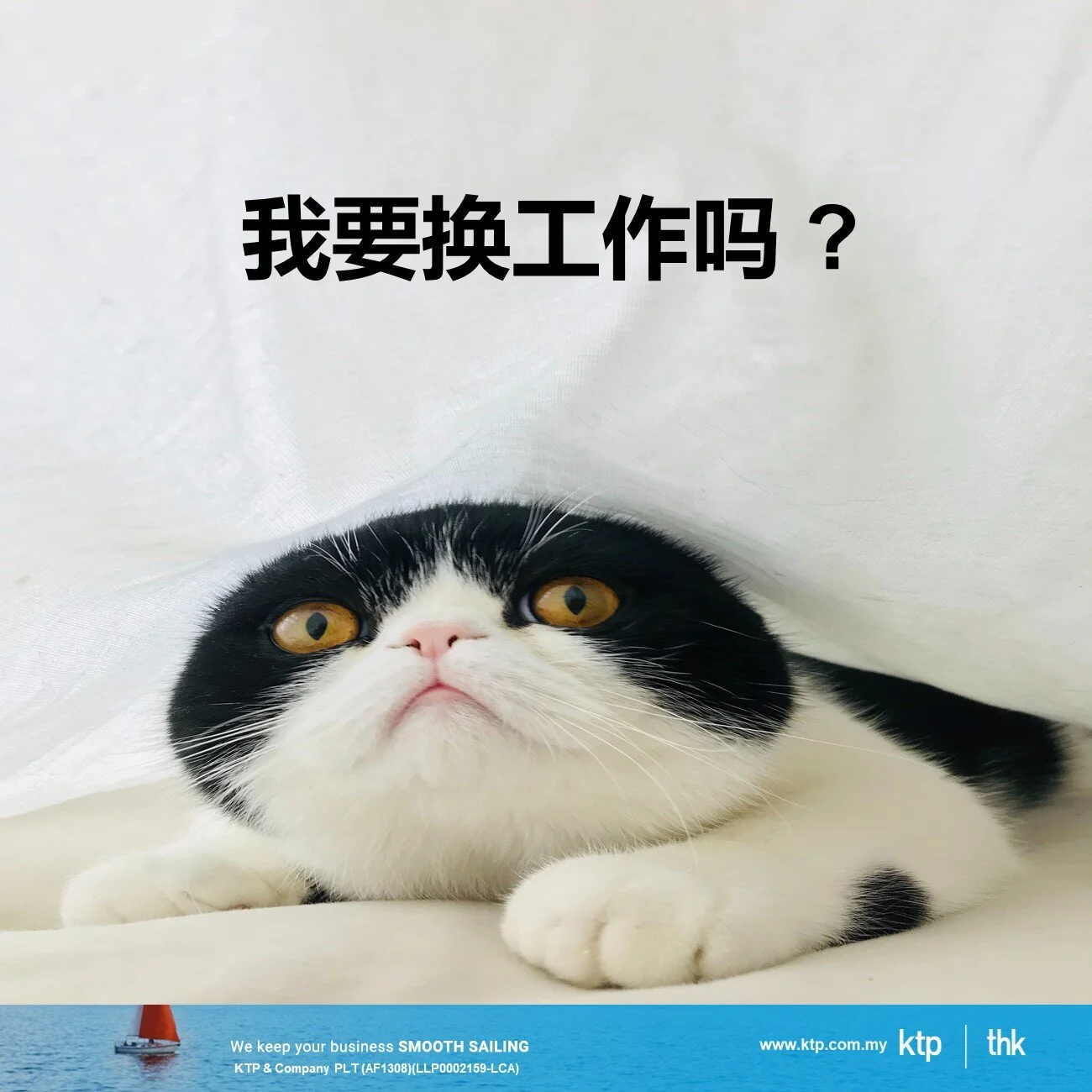 我要换工作吗 ?