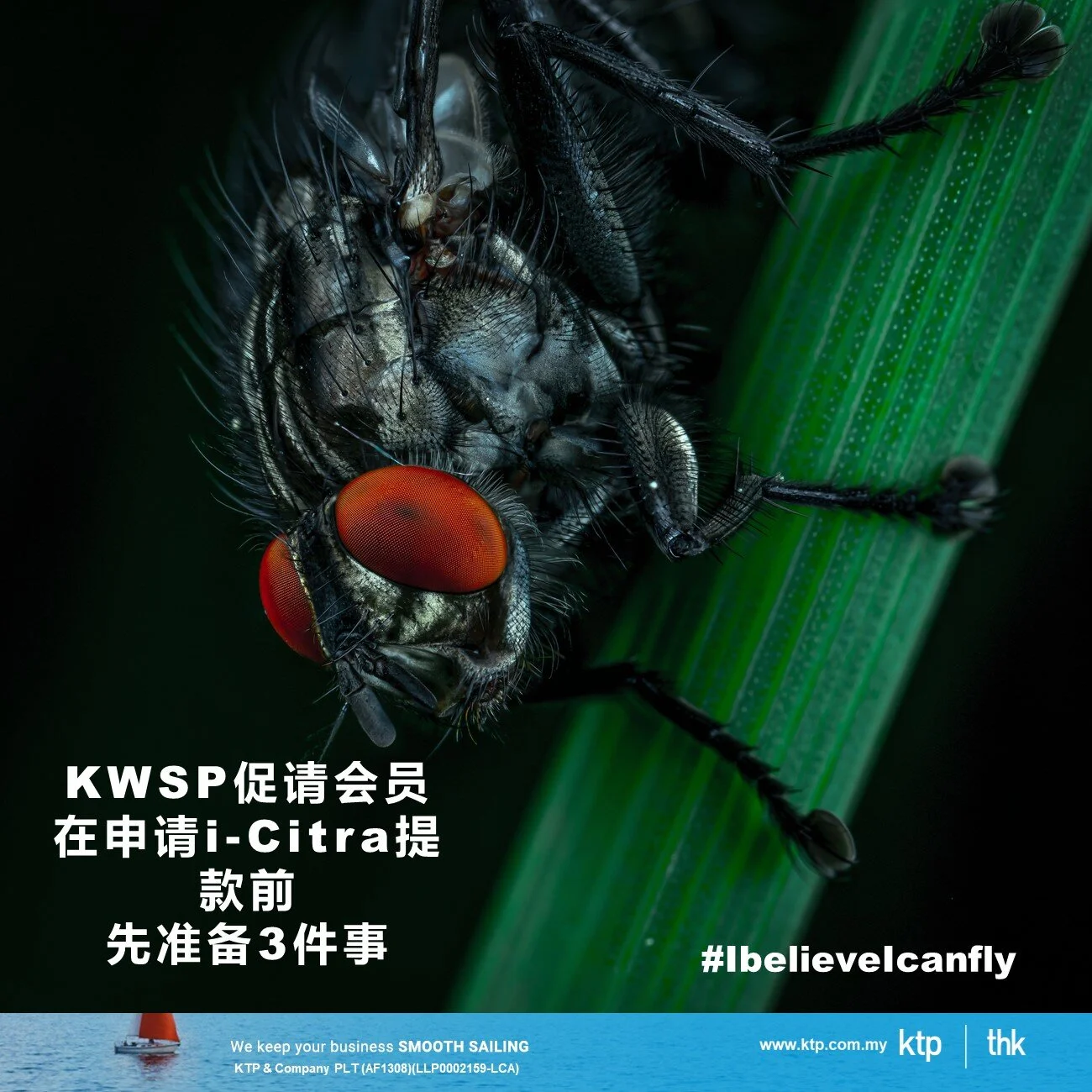 3件事 KWSP会员在申请i-Citra提款前一定要做