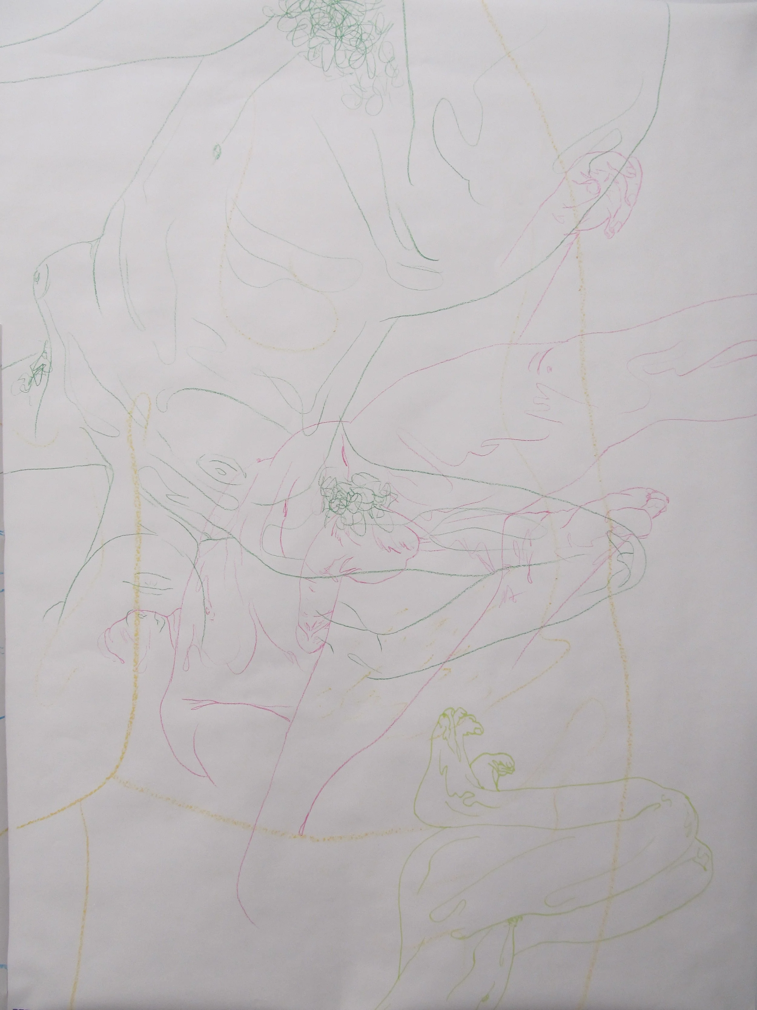 Cass Kruger, Gathering (detail 1), 2015, Pastel, Colored Pencil, Marker, 9'x20'.JPG