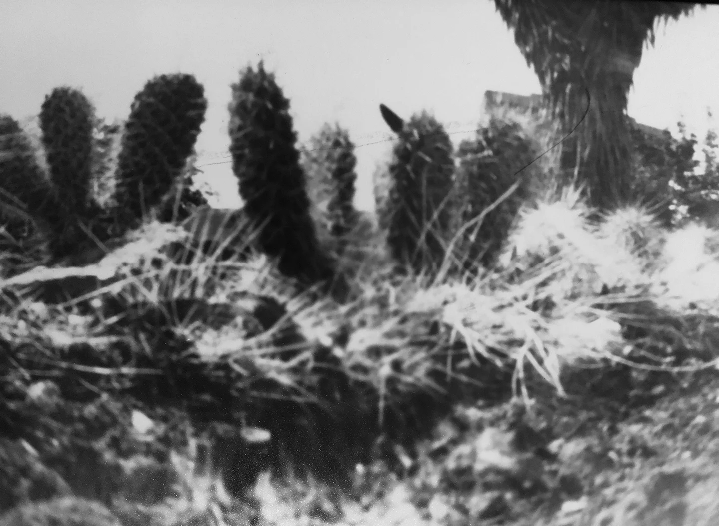 Pinhole Camera Print