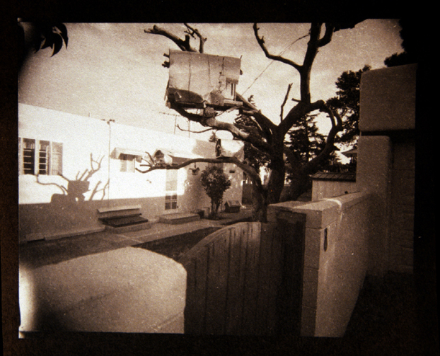 Platinum Palladium Print