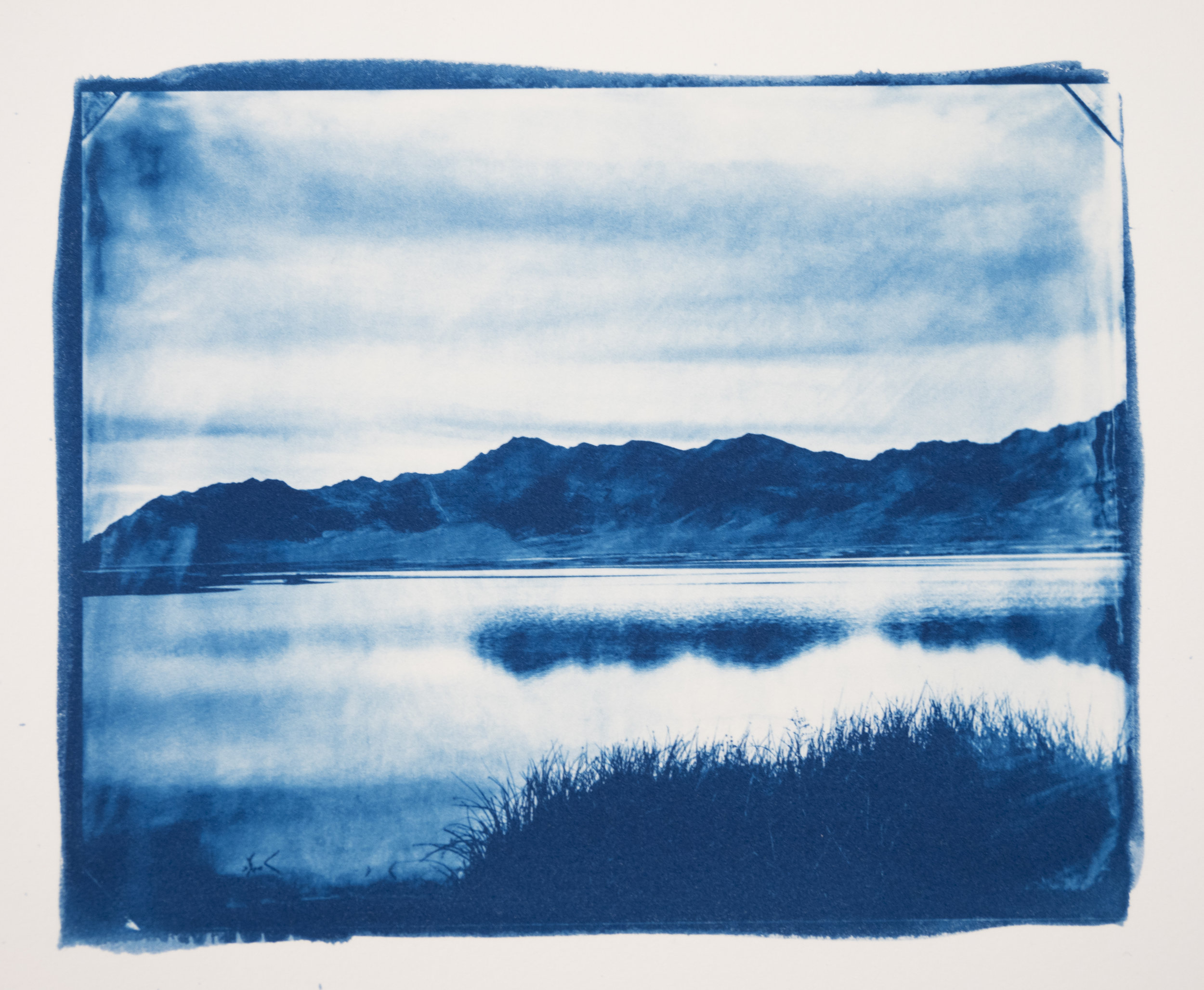 Historical Processes: The Cyanotype