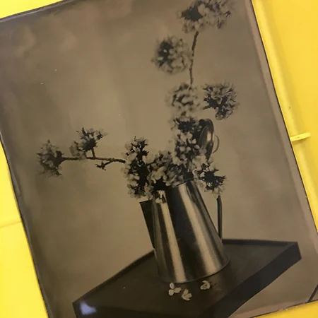 intro-wetplate-27.jpg