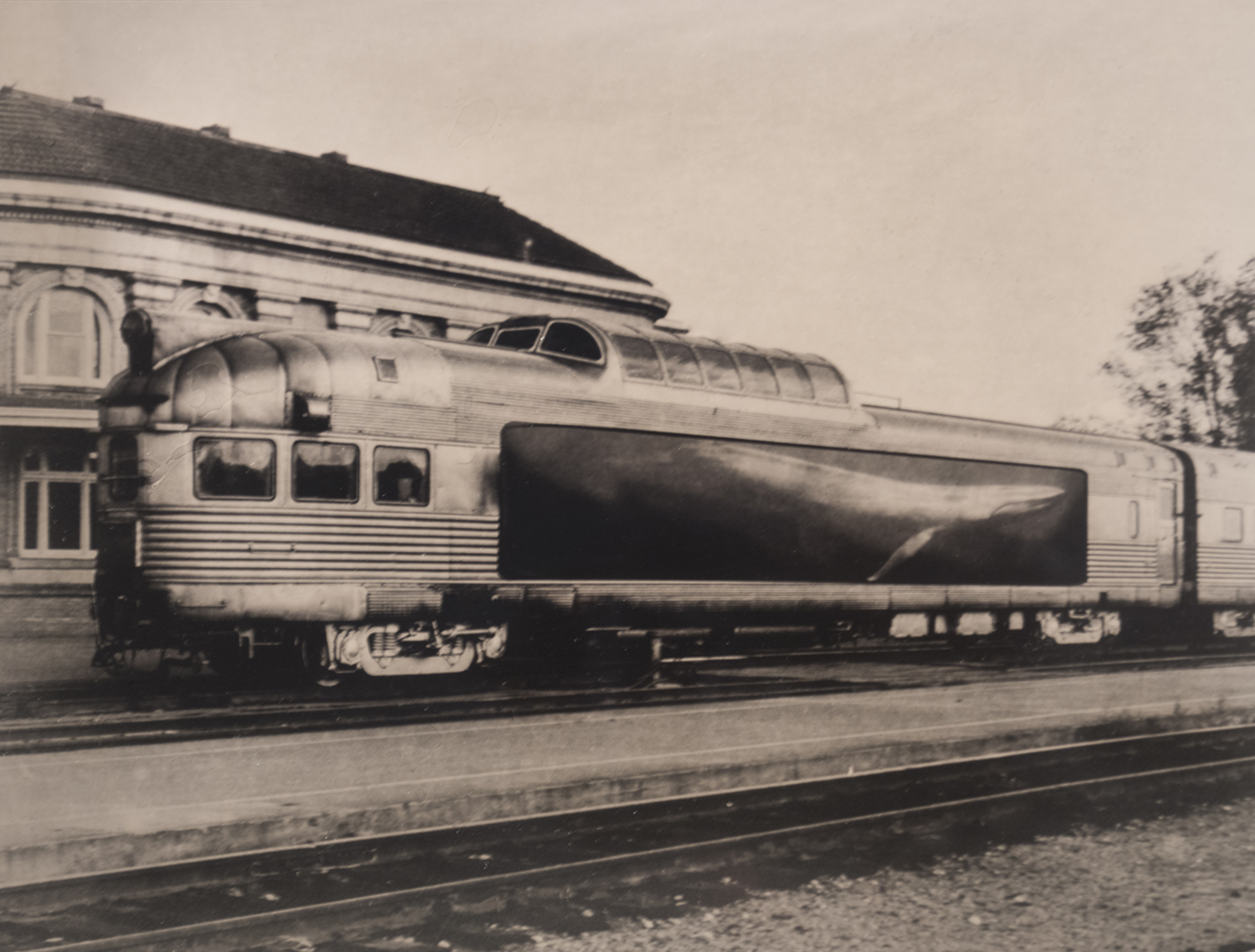 Juvenile Whale in Custom Railcar