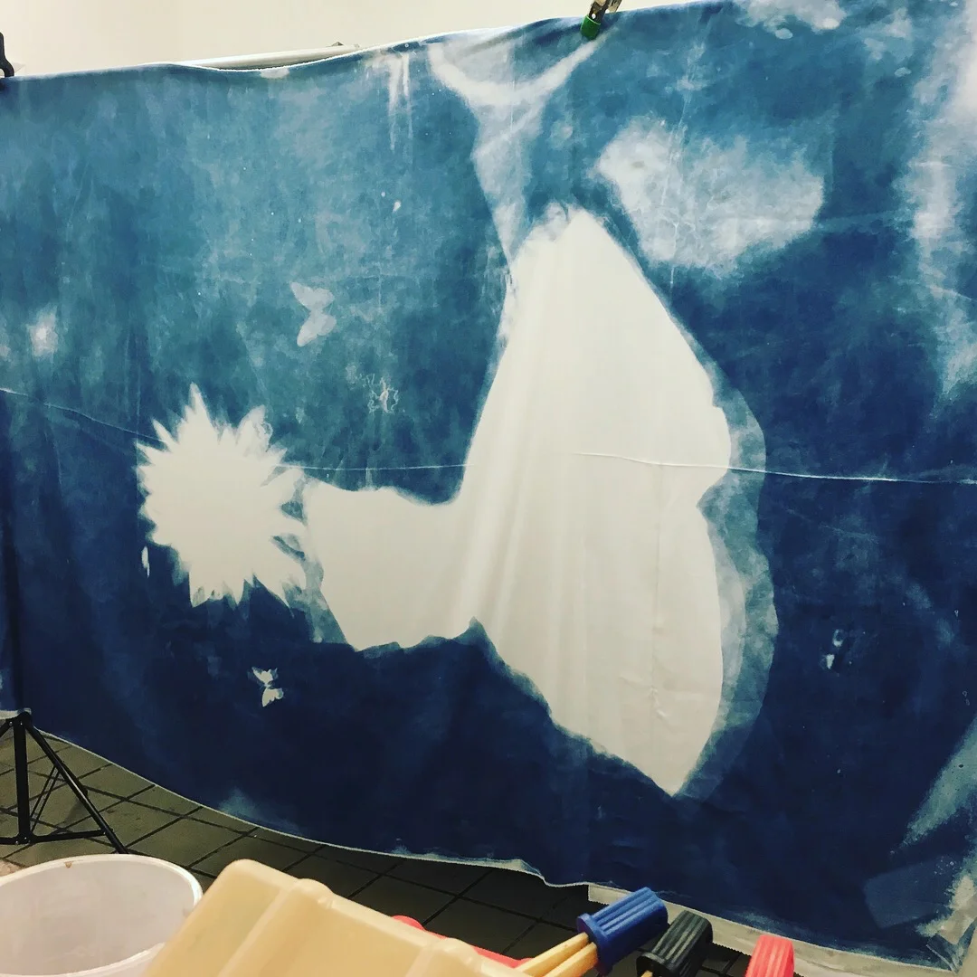 Cyanotype-Mural-02.jpg