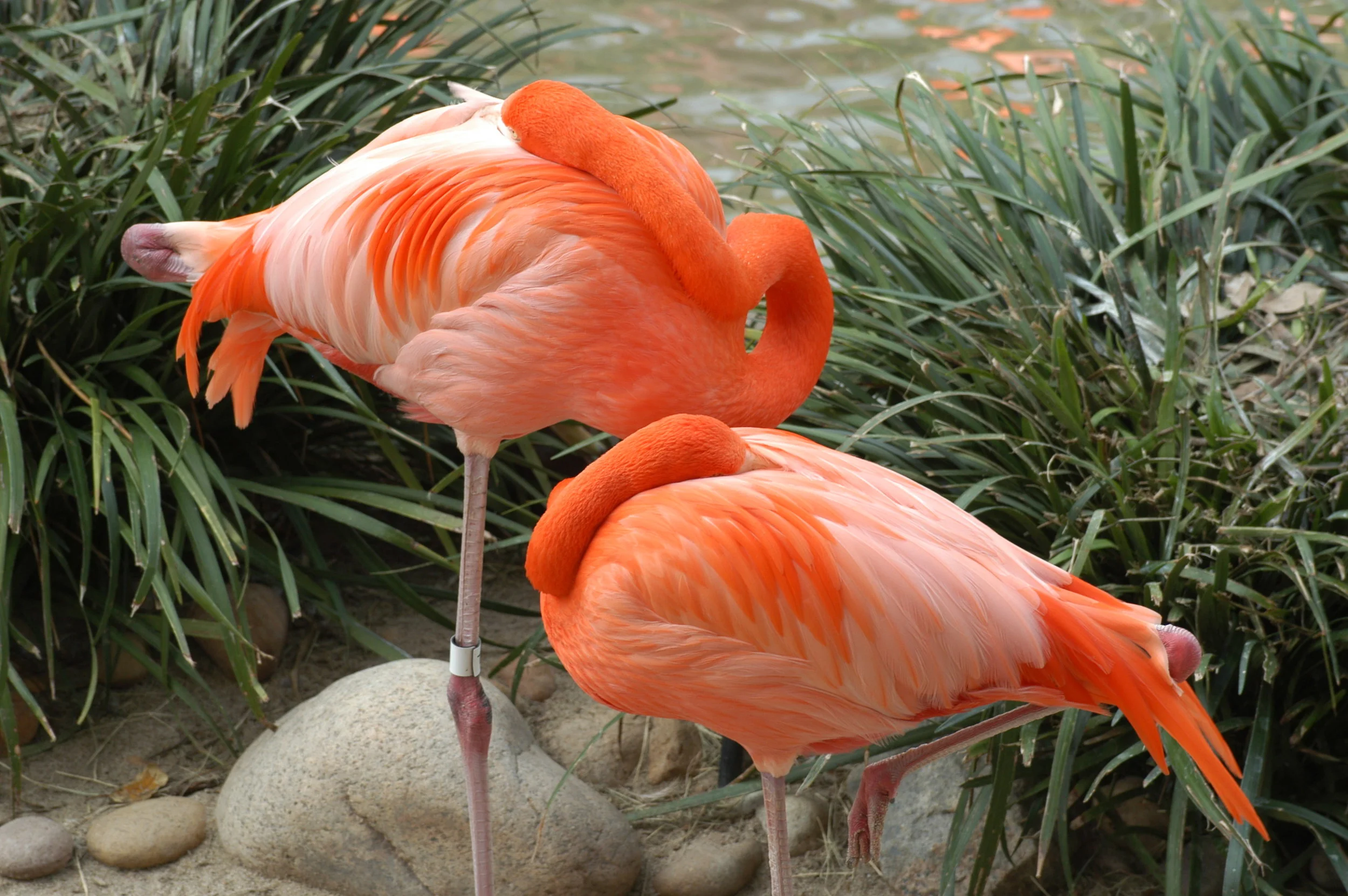 DSC_0048.JPG