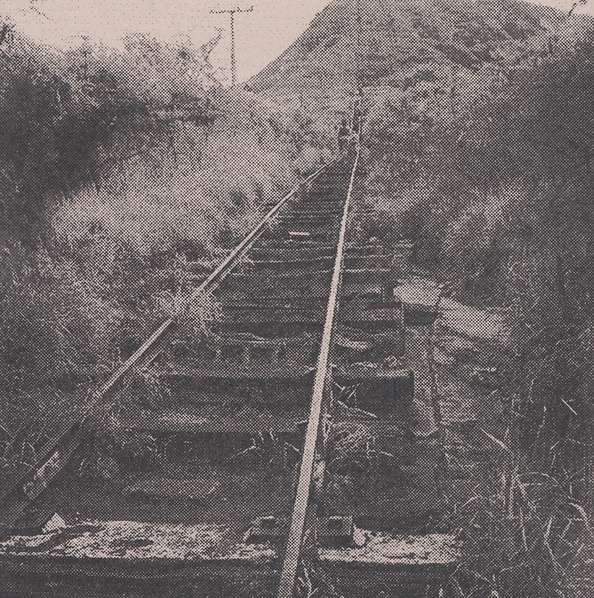 Koko Crater Trail , two colour screen print on paper, 13cm (w) x 13cm (h), 2016