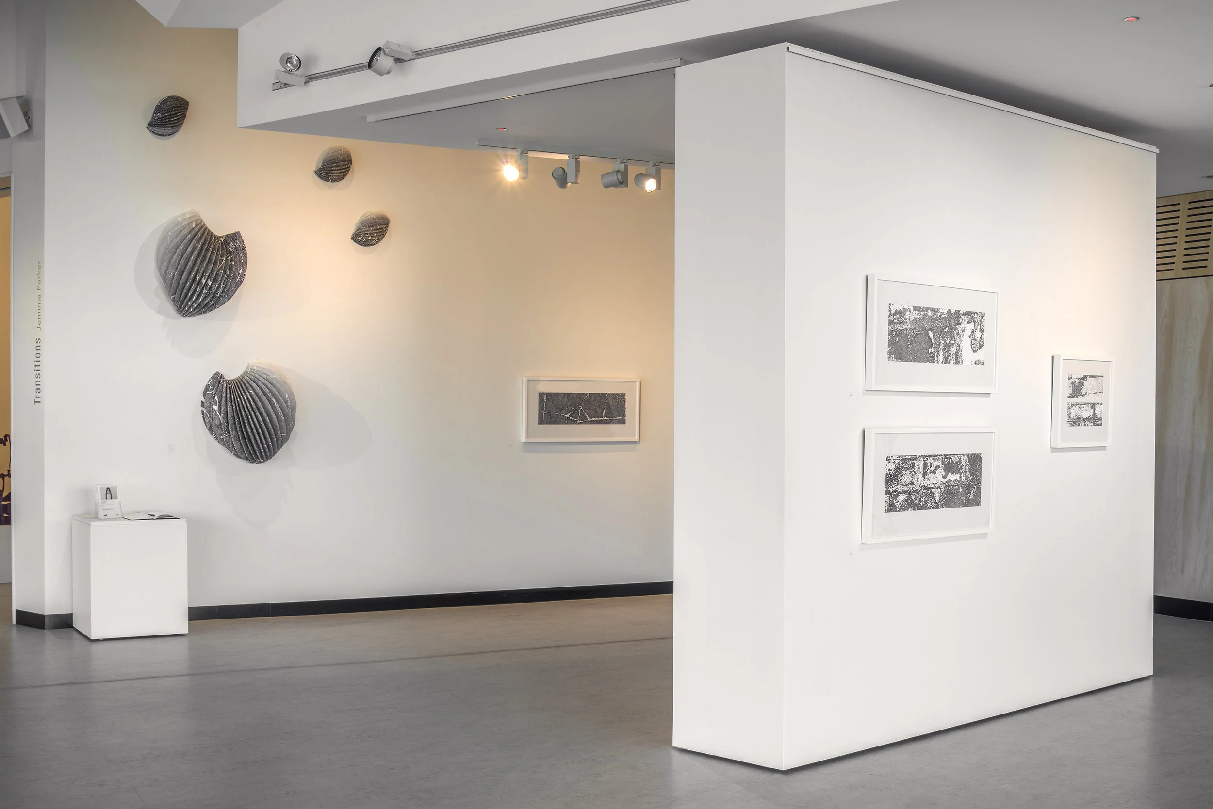 Jemima Parker, image from Transitions, solo exhibition at Belconnen Arts Centre, 2014. Photo by Brenton McGeachie.