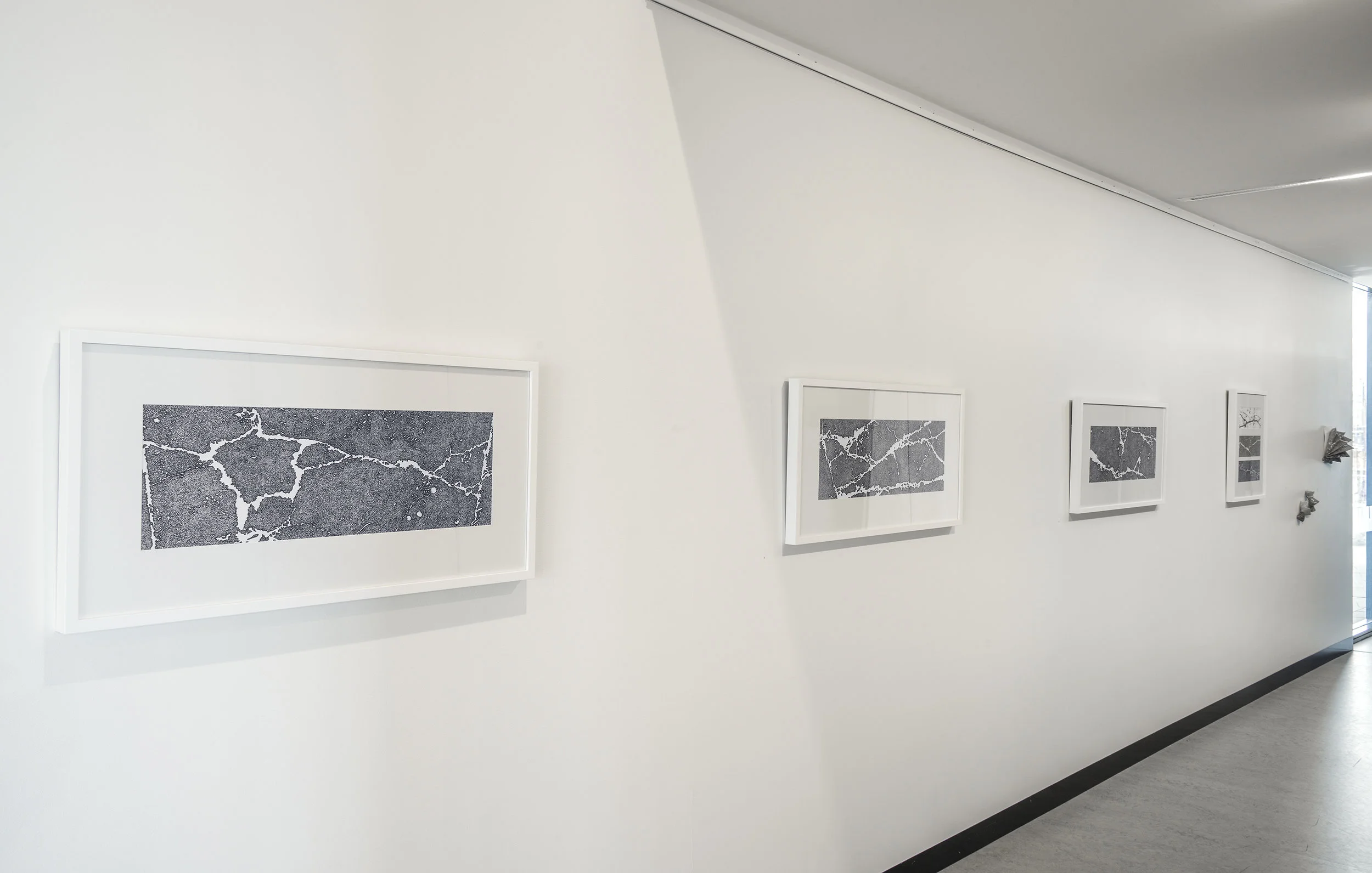 Jemima Parker, image from Transitions, solo exhibition at Belconnen Arts Centre, 2014. Photo by Brenton McGeachie.