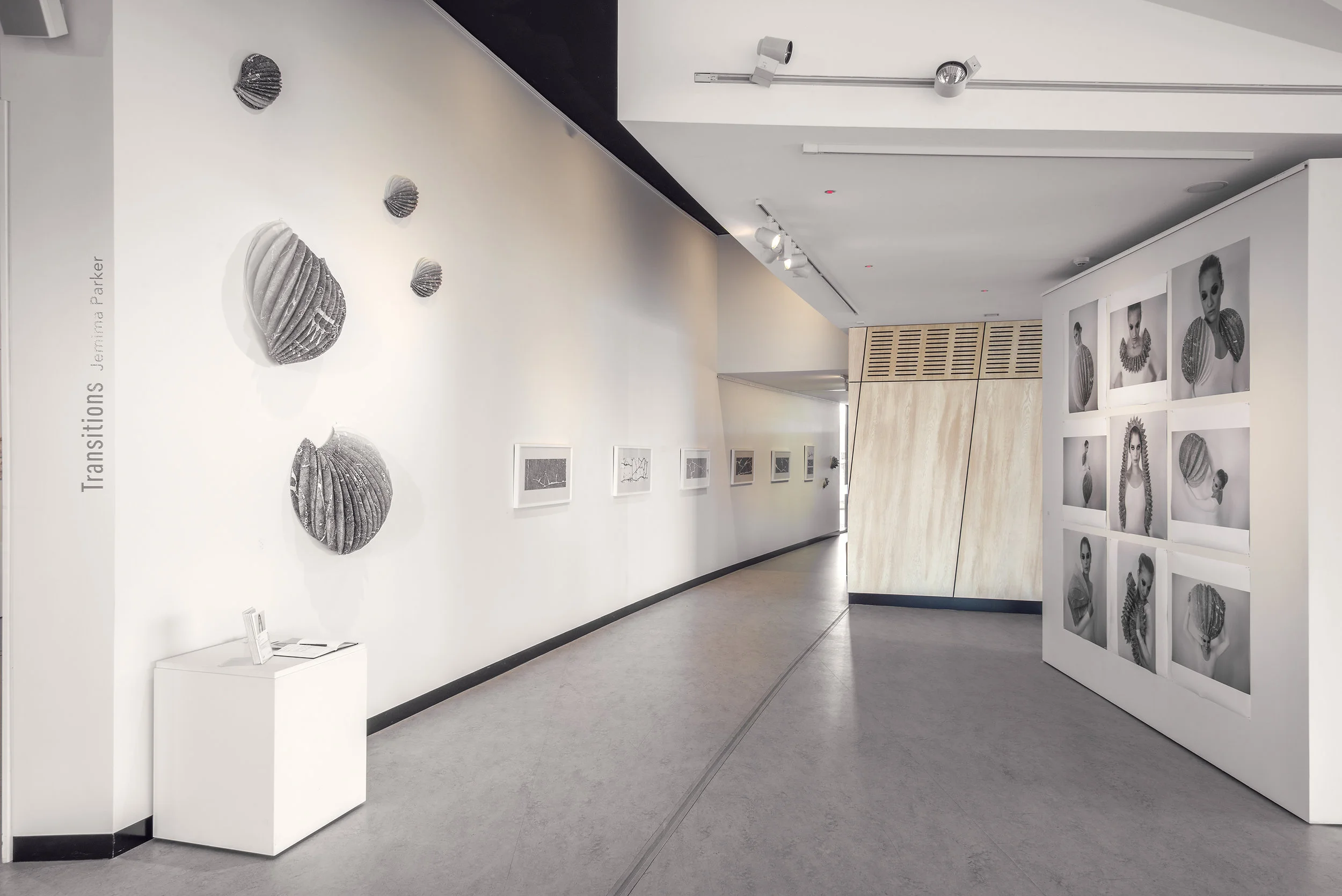 Jemima Parker, image from Transitions, solo exhibition at Belconnen Arts Centre, 2014. Photo by Brenton McGeachie.