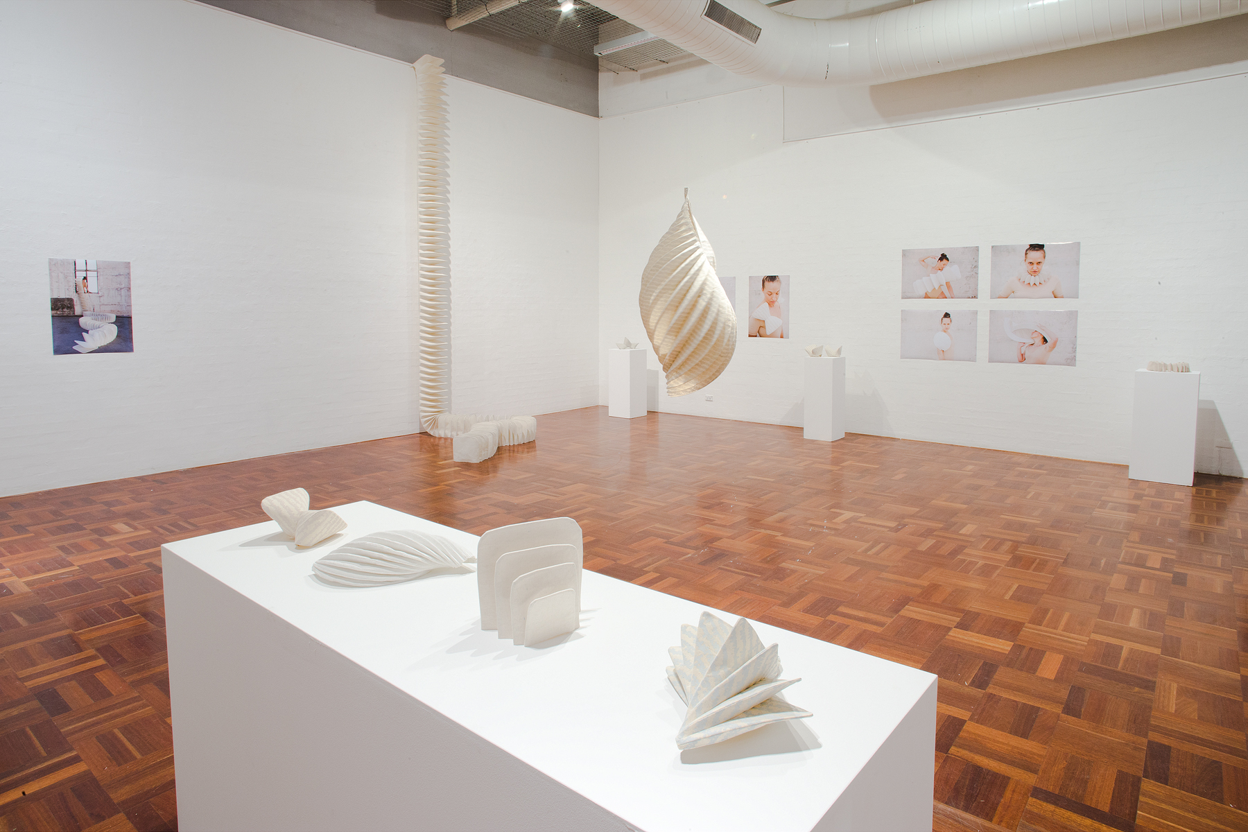 Jemima Parker, Installation of Honours work, 2012 Photo: Stuart Hay, ANU Photography