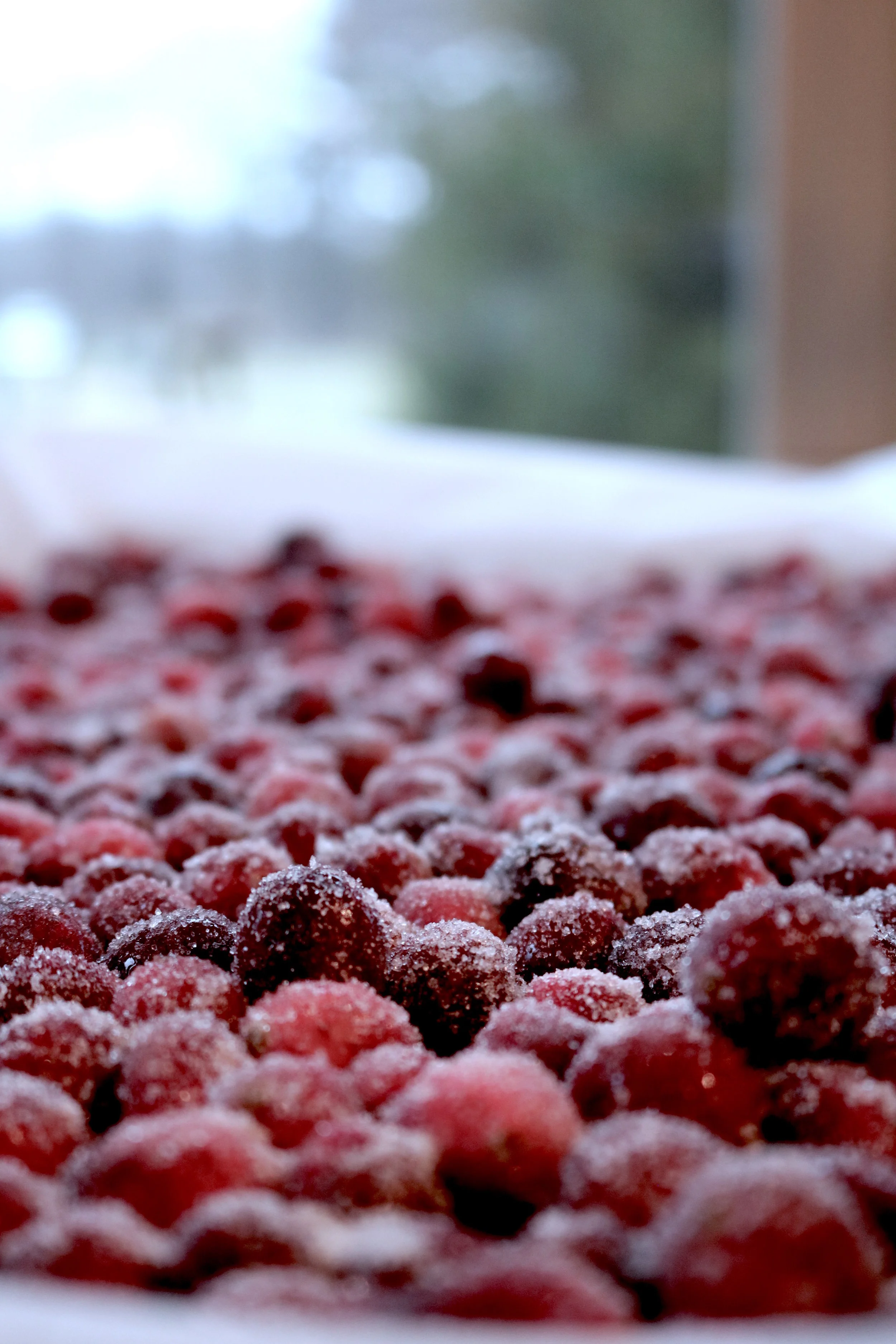 Sugared Cranberries - an Engelhardt staple. Find the recipe at the bottom of this post here .