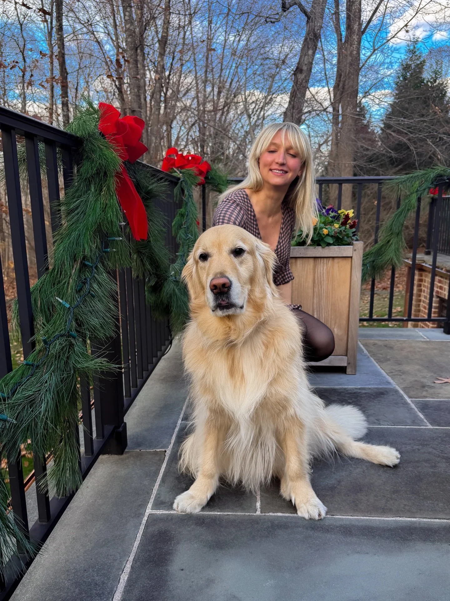 tofurky day 🦃❤️

#thanksgiving #goldenretriever #dog