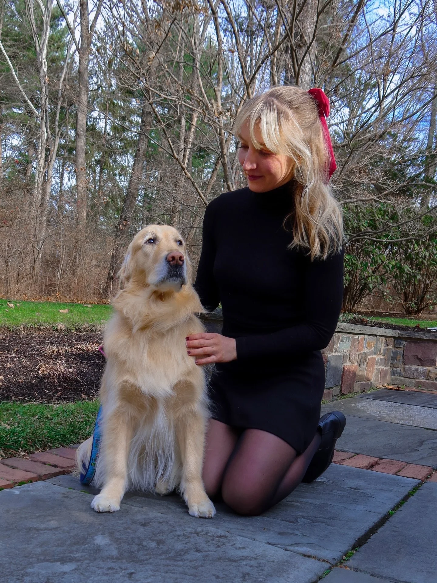 sweet dreams of holly &amp; ribbon 🎄🎁✨

#christmas #christmas2025 #goldenretriever #dogsofinstagram