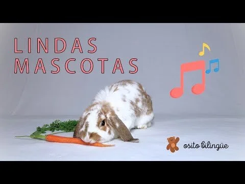 Lindas Mascotas - Osito Bilingüe