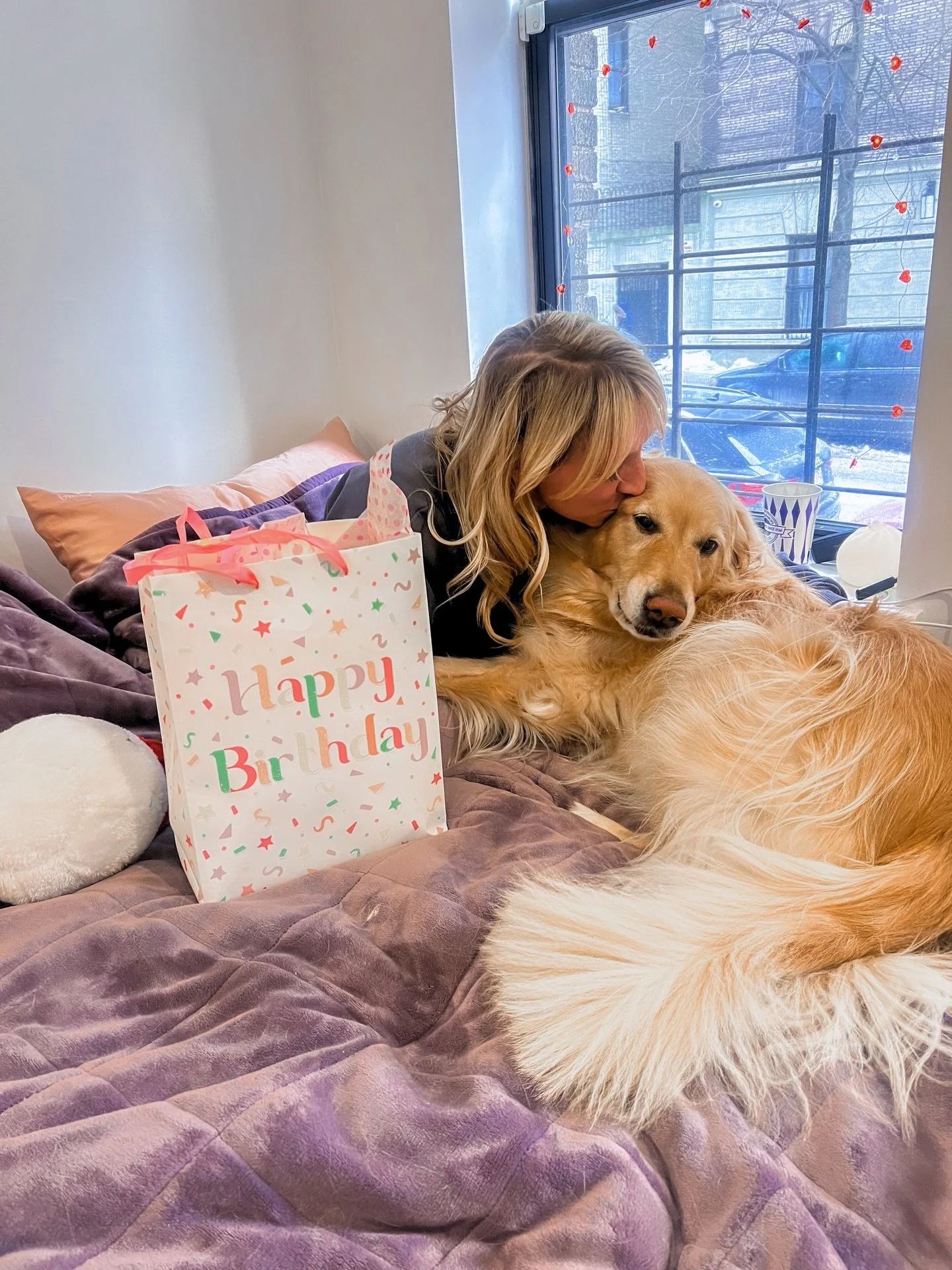 add another candle 🎂✨

#birthday #goldenretriever #nyc