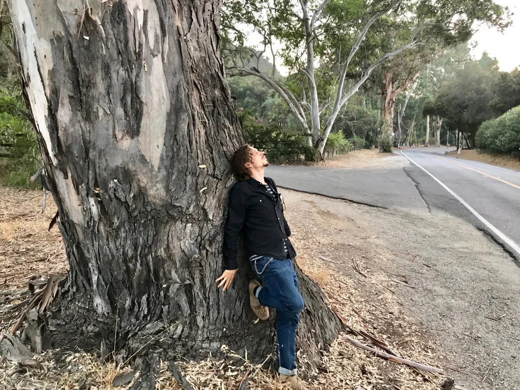 Satya Colombo eucalyptus
