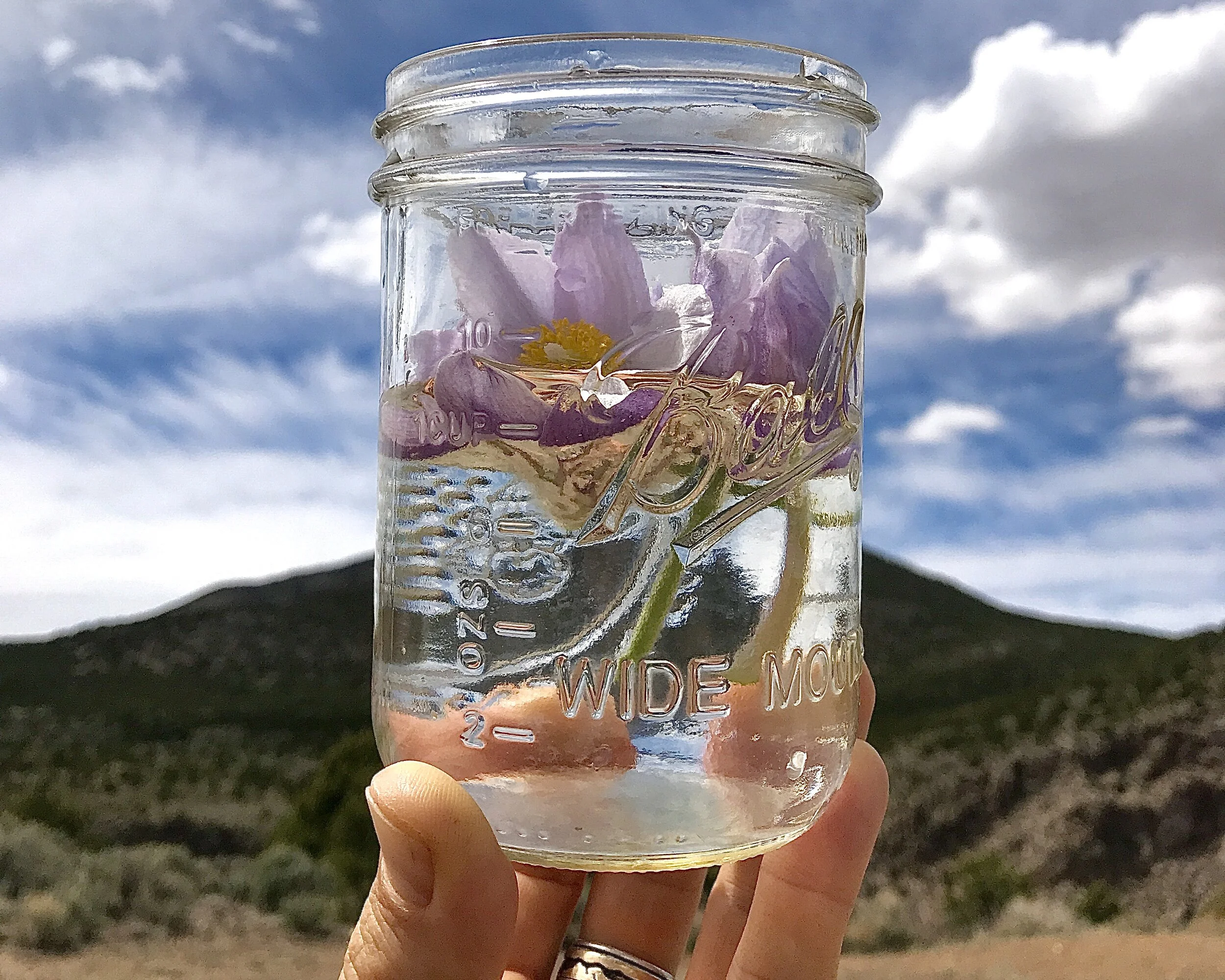 The 7 Systems of Cultural Control: How to Reclaim Your Freedom From the Matrix