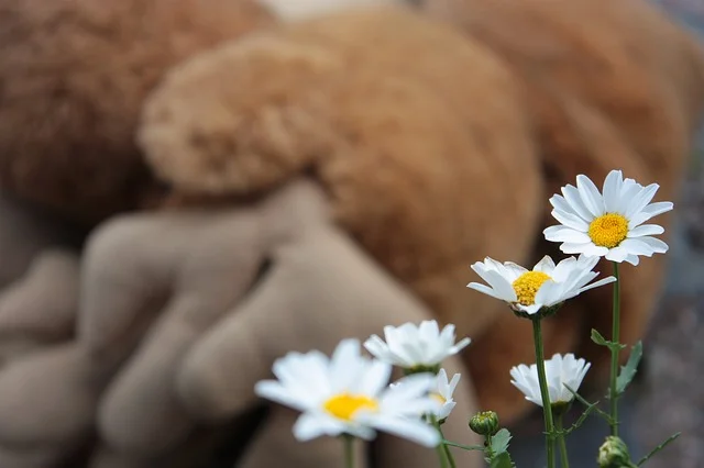 daisy-418959_640.jpg