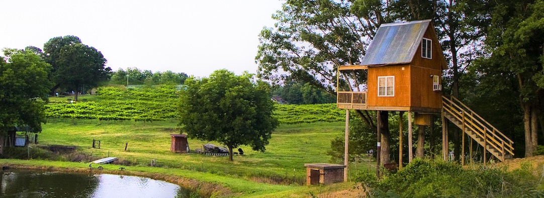 Treehouse Vineyards, California camping, California glamping, California destinations, California glamping destinations