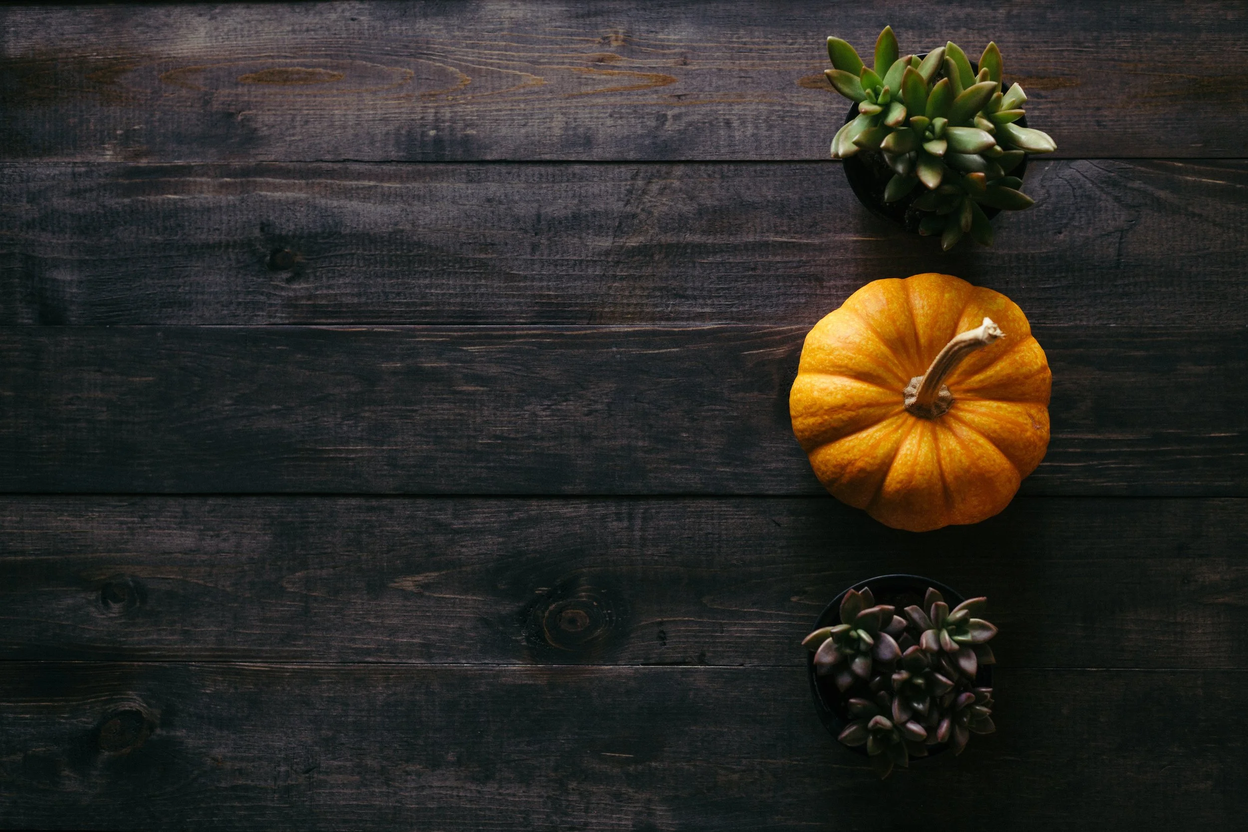 cooking a turkey while camping, RV Thanksgiving recipes, best places to camp for Thanksgiving, where to camp for Thanksgiving, Thanksgiving foil packets, Thanksgiving camping trip, 